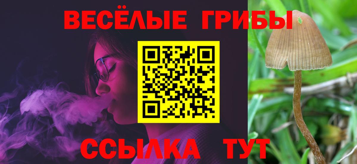Псилоцибиновые грибы мухоморы  Вход с VPN  Пермь 